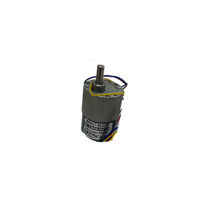 Shaker motor 39RPM