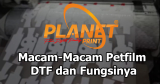 Macam-Macam Petfilm DTF dan Fungsinya untuk Hasil Cetak Maksimal