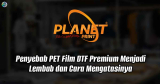 Penyebab PET Film DTF Premium Menjadi Lembab dan Cara Mengatasinya